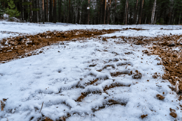 Signs of Frost Heave and How it Affects the Basement