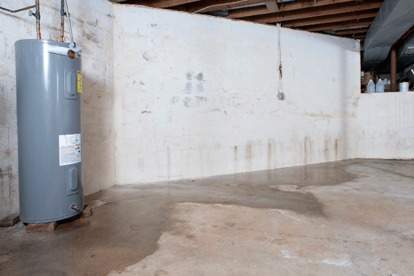 The Dangers of a Prolonged Wet Basement