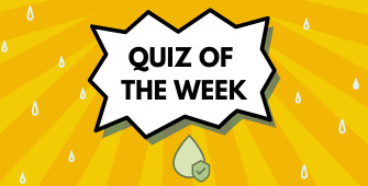 Test Your Knowledge: Flood Mitigation and Risk Management