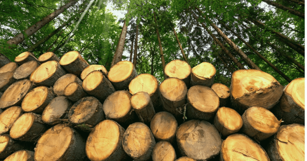 Market Outlook – Lumber & Access Matting Market Outlook – Lumber & Access Matting