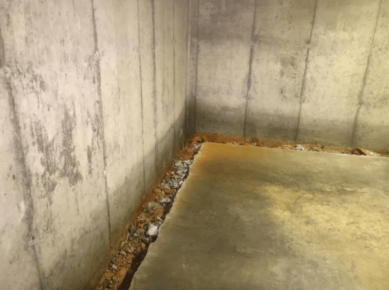 The Hidden Dangers of a Damp Basement and How Contractors Can Help | The Hidden Dangers of a Damp Basement and How Contractors Can Help |