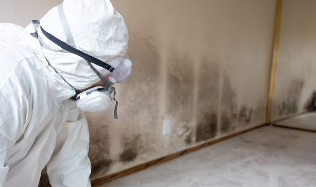 Mold in Michigan Basements: Health Risks and Prevention – StayDry®
