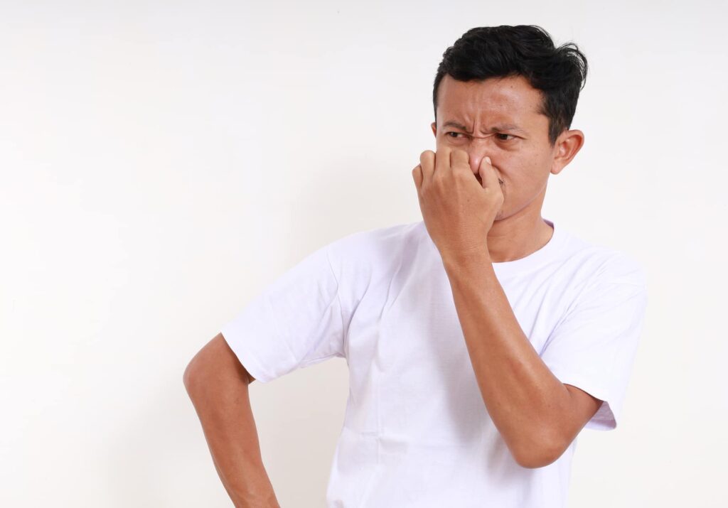 Basement Odors in Summer? What They Mean and How to Fix Them – StayDry®