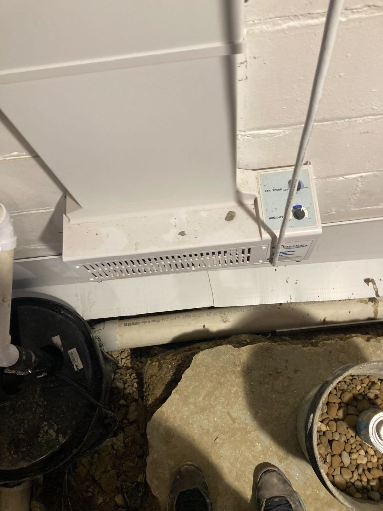 What to Do After a Basement Flood