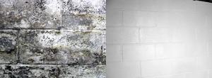 Effective Twenty-Second Mold Removal Treatment