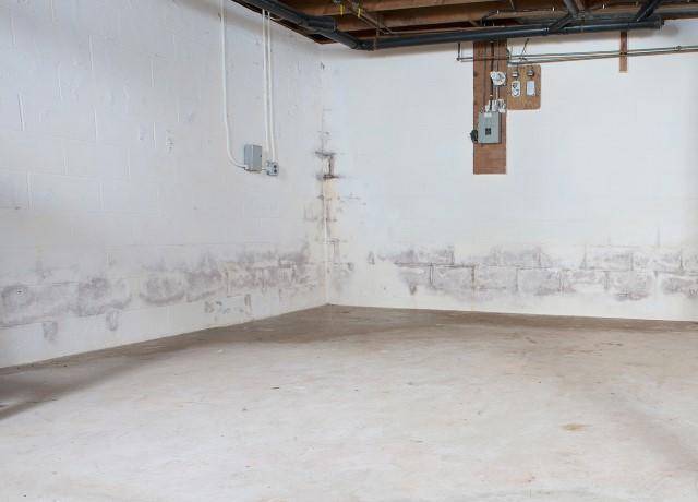 How to Get Rid of That Musty Basement Smell
