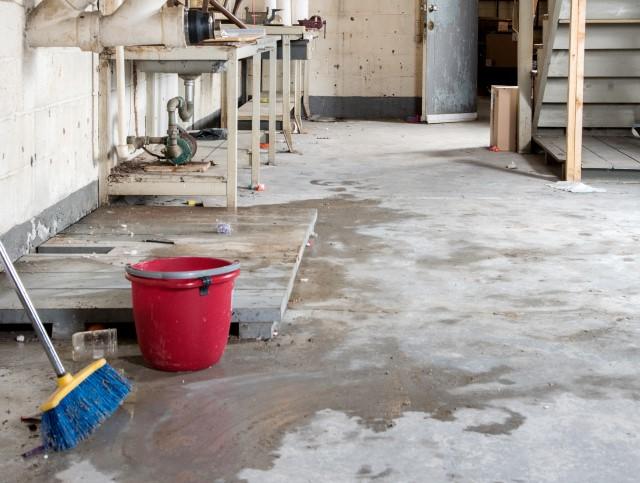 What to Do When a Home Inspection Reveals a Wet Basement What to Do When a Home Inspection Reveals a Wet Basement