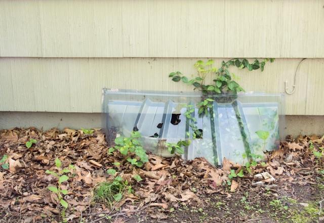 Fall Basement Maintenance Checklist