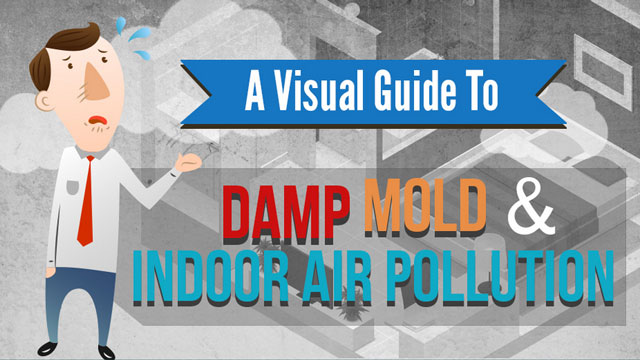 Damp, Mold and Indoor Air Pollution – A Visual Guide