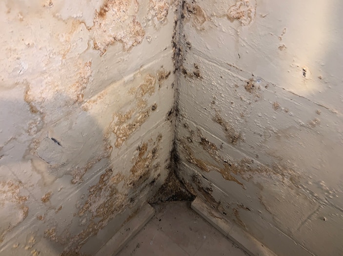Why Your Michigan Basement Is Always Damp – And What You Can Do About It Why Your Michigan Basement Is Always Damp – And What You Can Do About It