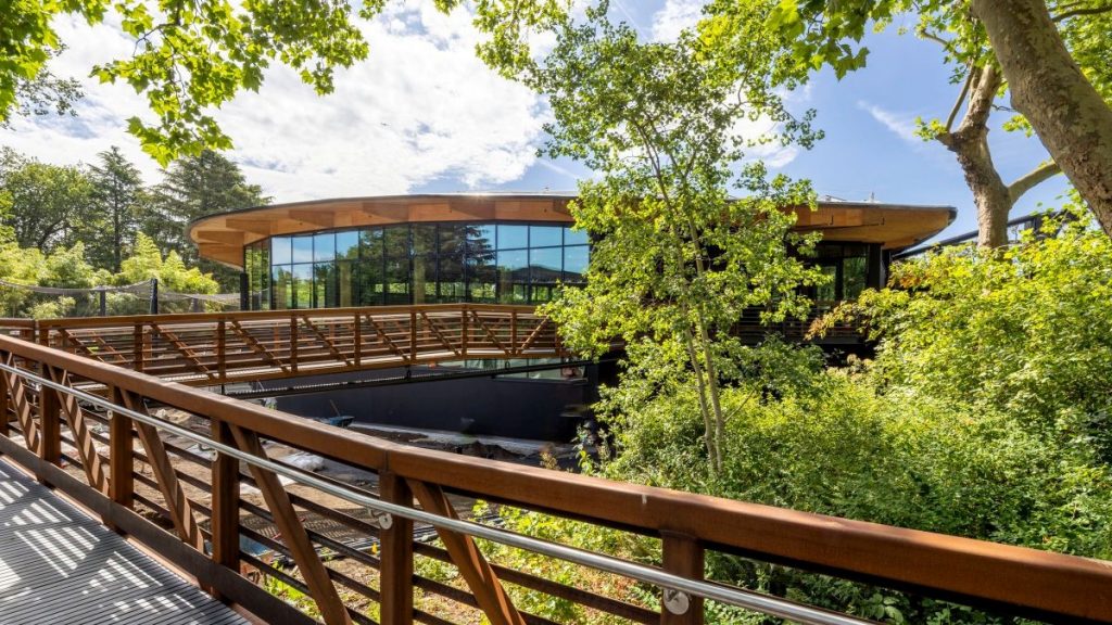 Plywood takes centerstage in zoo’s LEED Gold project Plywood takes centerstage in zoo’s LEED Gold project