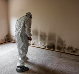 Basement Mold Remediation in Dover, Delaware