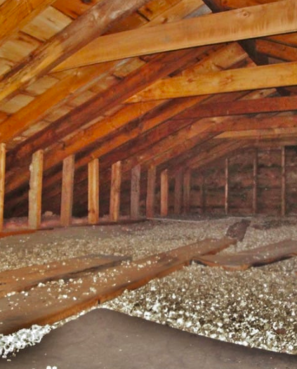 Basement Mold Remediation in Media PA – Keep Your Family Safe