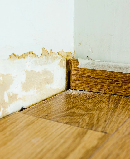 Mold Remediation in Delaware County PA