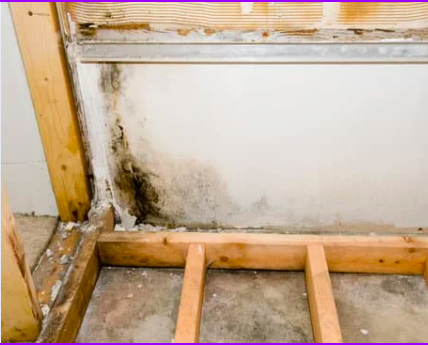 Basement Mold Remediation in Kent County, Delaware