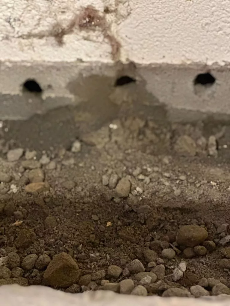 How to Protect Finished Basements From Water Damage