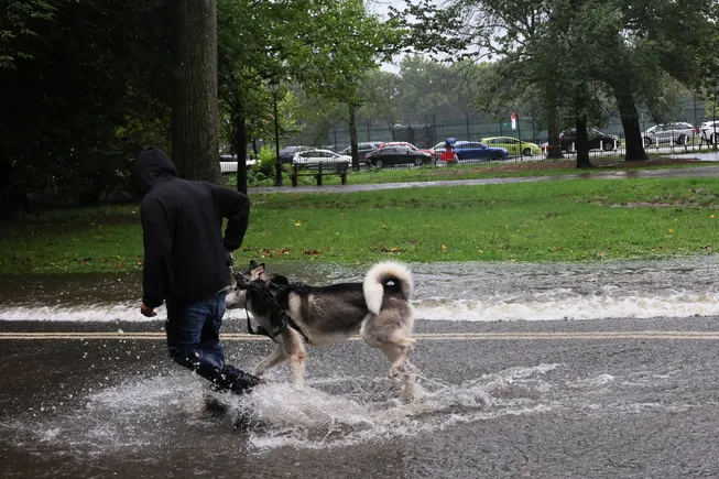 Facing extreme rainfall and flooding, NYC is turning Brooklyn’s Prospect Park into a natural buffer