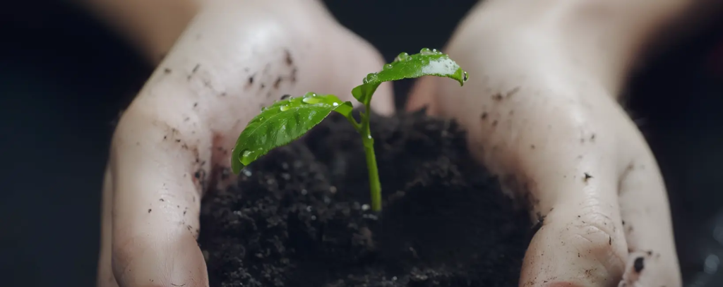 Cemex Ventures – Fostering the construction revolution