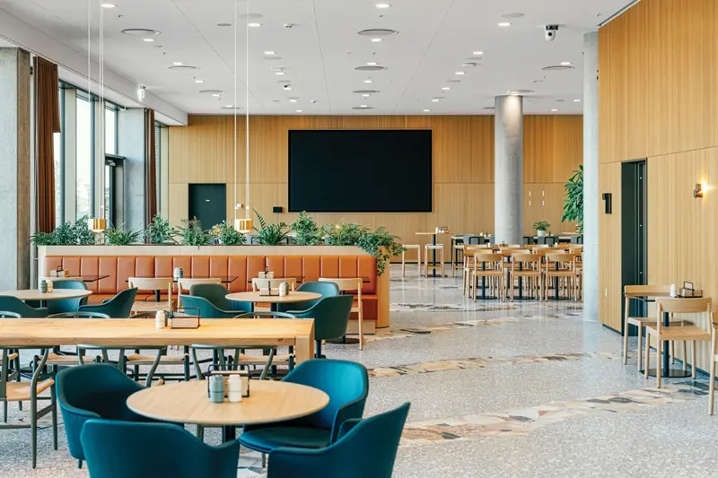 Why stone wool delivers high-performance acoustics Why stone wool delivers high-performance acoustics