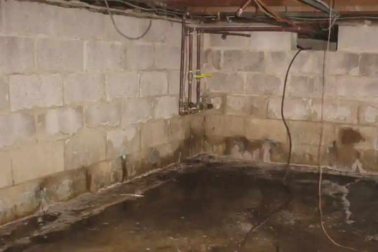 What to Look for in Basement Water Damage What to Look for in Basement Water Damage