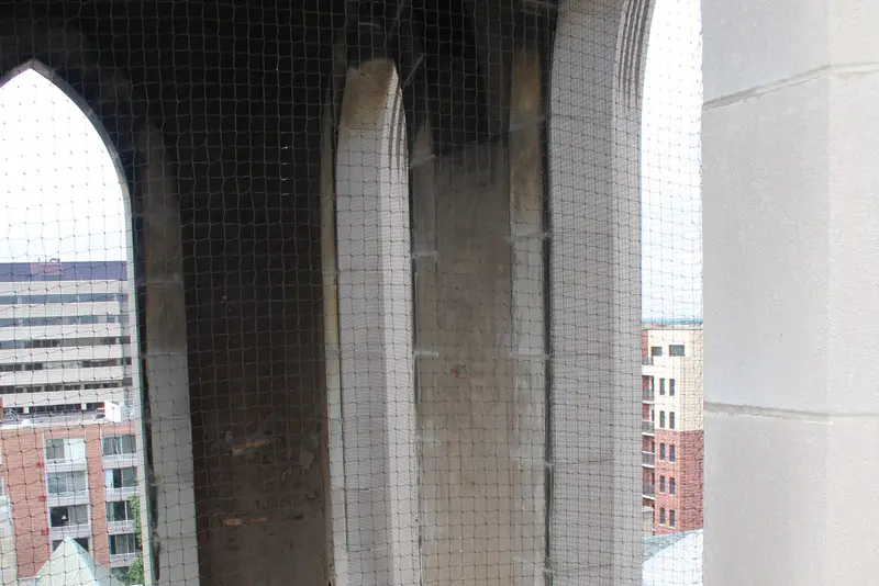 A bird’s eye view of building facades A bird’s eye view of building facades