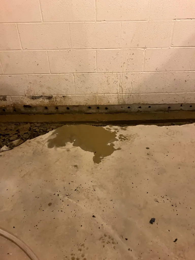 How Interior Drainage Systems Protect Basements From Water Damage