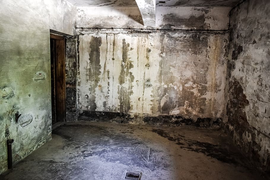 Why Basement Humidity Leads to Mold Growth Why Basement Humidity Leads to Mold Growth