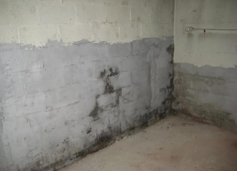 Basement Moisture Problems? Here’s What To Do First |
