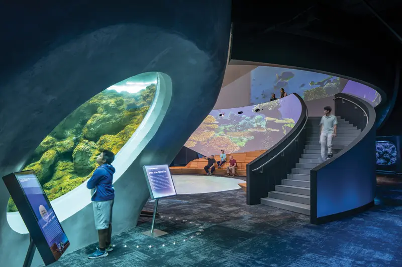 From Pike Place to the Pacific Ocean: The art of aquarium design