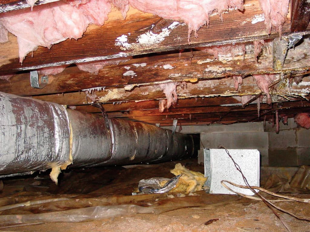 How Mold Starts in Damp Basements