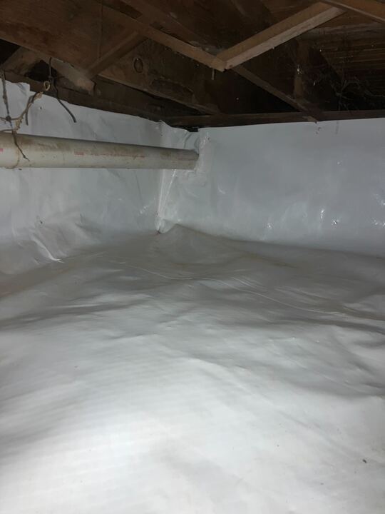 Crawl Space vs Basement Moisture Control: What Homeowners Should Know