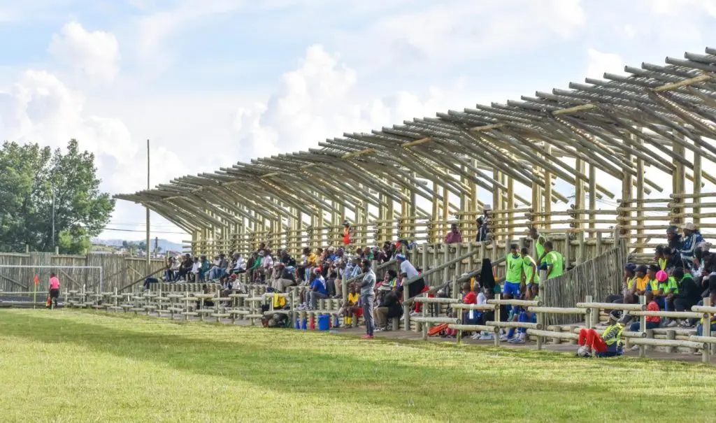 Timber stadium showcases low-carbon sports infrastructure